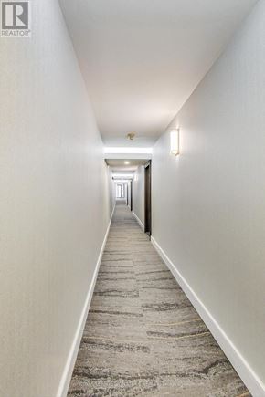 Toronto (Mount Pleasant West) townhouse for rent - A long hallway with a carpeted floor and white walls.