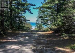 Tiny apartment for rent - A dirt road with trees on both sides leading to a beach.