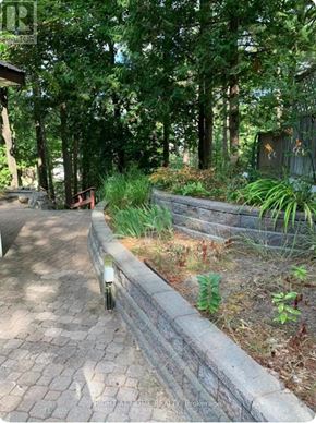 Tiny apartment for rent - A brick pathway leads through a lush green forest.