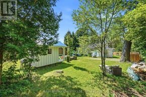 Tiny apartment for rent - A lush green yard with a white house and a tree in the foreground.