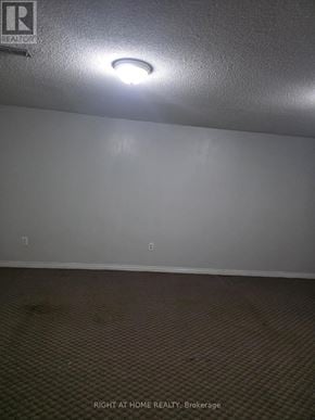 Toronto (Thistletown-Beaumonde Heights) apartment for rent - A room with a light on the ceiling and a carpet on the floor.