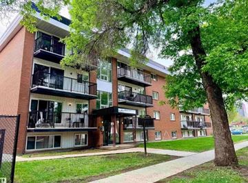 Edmonton apartment for rent - A tree is in front of a brick building.