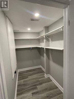 Barrie (Georgian Drive) apartment for rent - A walk-in closet with shelves and a grey carpet.