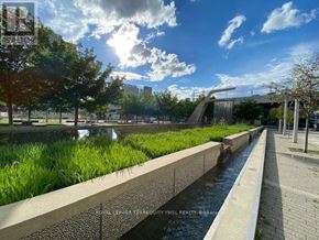Toronto (Waterfront Communities) condo for rent - A waterway with grass on the side and a cloudy sky above.