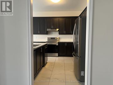 Brampton (Sandringham-Wellington North) apartment for rent - A kitchen with black cabinets and a stainless steel refrigerator.