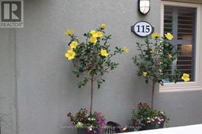 Blue Mountains townhouse for rent - Two yellow flowers in front of a grey wall with a number 115 on it.