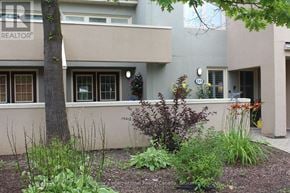 Blue Mountains townhouse for rent - A building with a tree in front of it.
