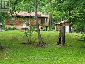 Severn (Washago) apartment for rent - A tree in a yard in front of a house.