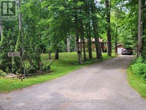 Severn (Washago) apartment for rent - A gravel road leads through a wooded area with a sign on the left.