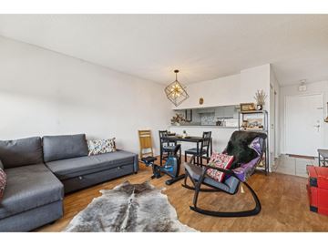 Gatineau (Hull) condo for rent - A grey couch sits in a living room with a black rocking chair.