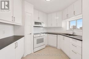 Toronto (Yonge-St. Clair) condo for rent - 1002 - 9 DEER PARK CRESCENT 1002