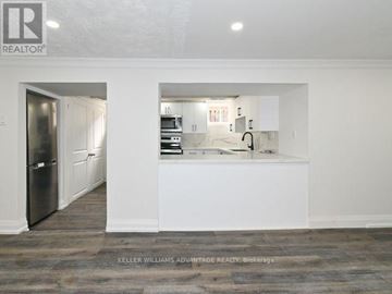 Toronto (Clairlea-Birchmount) apartment for rent - A kitchen with white cabinets and a refrigerator.