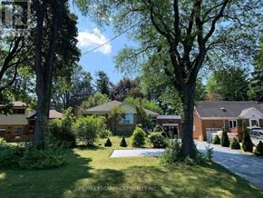 Hamilton (Westcliffe) apartment for rent - A residential area with houses and trees.