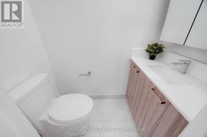 Toronto (Parkwoods-Donalda) townhouse for rent - A white toilet in a bathroom with a sink and wooden cabinets.