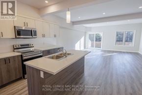 Thorold (Thorold Downtown) multi-family for rent - A kitchen with a sink, stove, and cabinets.