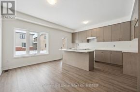 Georgina (Keswick North) apartment for rent - A spacious kitchen and living room with wooden floors and white walls.