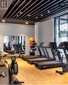 Oakville (Br Bronte) condo for rent - A gym with treadmills, exercise balls, and weights.