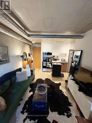 Toronto (Little Portugal) condo for rent - A living room with a green couch and a cowhide rug.