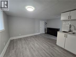 Hamilton apartment for rent - A room with a fireplace and a sink.
