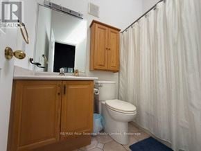 Blue Mountains apartment for rent - A bathroom with a toilet, sink, and shower curtain.