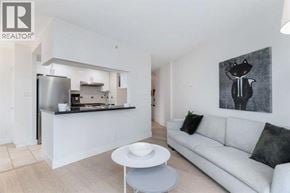Vancouver apartment for rent - A modern living room with a white couch and a painting of a cat on the wall.