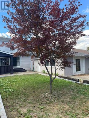 Hamilton (Inch Park) apartment for rent - UPPER - 225 EAST 14TH STREET Upper