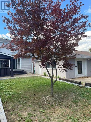 Hamilton (Inch Park) apartment for rent - A tree with red leaves stands in a grassy yard in front of a house.