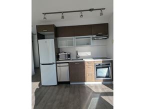 Surrey apartment for rent - A modern living room with a fireplace and a dining table.