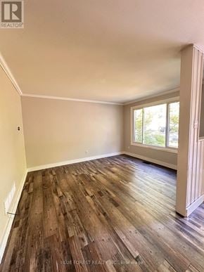 London South (South Y) apartment for rent - A room with wooden flooring and a window.