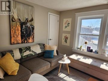 St. Catharines (Downtown) triplex for rent - A living room with a moose painting on the wall.