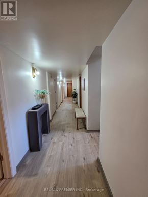 Vaughan (West Woodbridge) apartment for rent - A long hallway with a bench and a plant in the distance.