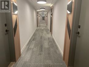 Toronto (Waterfront Communities) condo for rent - A long hallway with doors on both sides and a carpeted floor.