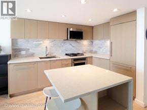 Vancouver apartment for rent - A modern kitchen with a marble backsplash and a central island.