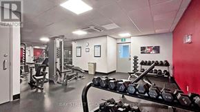 Toronto (Cabbagetown-South St. James Town) condo for rent - A gym with a variety of equipment including dumbbells and weight machines.