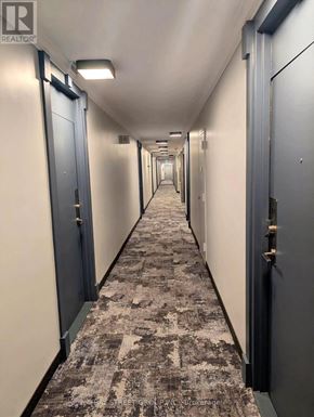 Toronto (Cabbagetown-South St. James Town) condo for rent - A long hallway with doors on both sides.