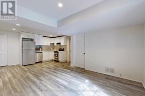 Newmarket (Bristol-London) apartment for rent - BASEMENT - 63 HILLVIEW DRIVE basement