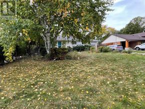Mississauga (Streetsville) apartment for rent - A yard with a tree and a house in the background.