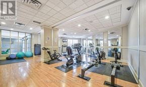 Toronto (West Humber-Clairville) condo for rent - A well-lit gym with various exercise equipment and a yoga mat.