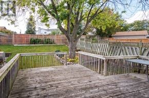 Cambridge apartment for rent - A deck with a tree in the middle of it.