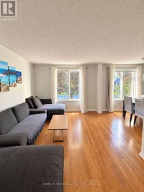 Quinte West (Trenton Ward) apartment for rent - A living room with a grey couch and wooden floors.