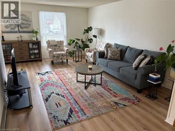 Waterloo apartment for rent - A living room with a grey couch and a rug with a face on it.