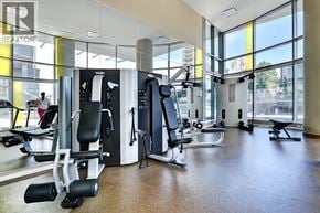 Burnaby apartment for rent - A gym with a variety of equipment including a treadmill, weights, and a bench press.