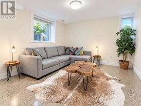 Toronto (High Park North) apartment for rent - A living room with a grey couch, a brown cowhide rug, and a potted plant.