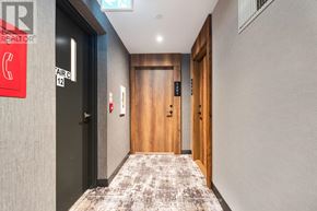 Toronto (Mimico) condo for rent - A hallway with a carpeted floor, a door on the left, and a door on the right.