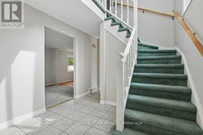 Ottawa apartment for rent - A staircase with green carpeted steps and white railings.