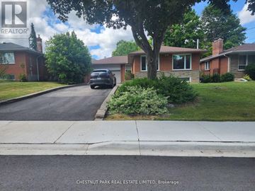 Toronto (Bayview Village) apartment for rent - A house with a tree in front of it.