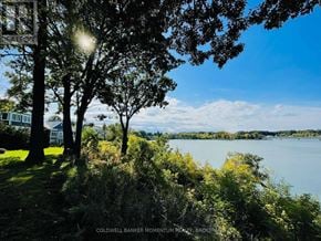 St. Catharines (Port Dalhousie) apartment for rent - A sunny day at Coldwell Banker Momentum Realty, Brokerage.