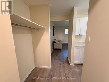 Peterborough (Town Ward 3) apartment for rent - A living room with a couch and a kitchen area in the background.