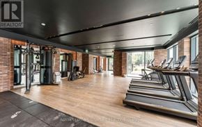 Toronto (Humber Heights) condo for rent - A gym with treadmills and exercise equipment.