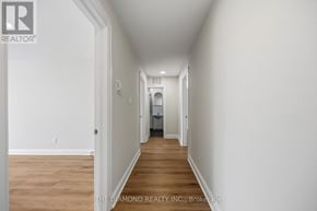 Toronto (Briar Hill-Belgravia) apartment for rent - A long hallway with a door on the left and a bedroom at the end.